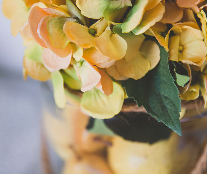 Allara Homestead Bed And Breakfast | Flaxton | Queensland | Australia 18