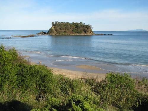 Hotel Barlings Beach Holiday Park | Tomakin | New South Wales | Australia 14