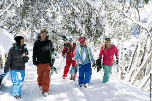 Hotel Halleys Lodge | Falls Creek | Victoria | Australia 5