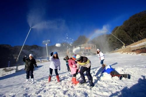 Hotel Halleys Lodge | Falls Creek | Victoria | Australia 6