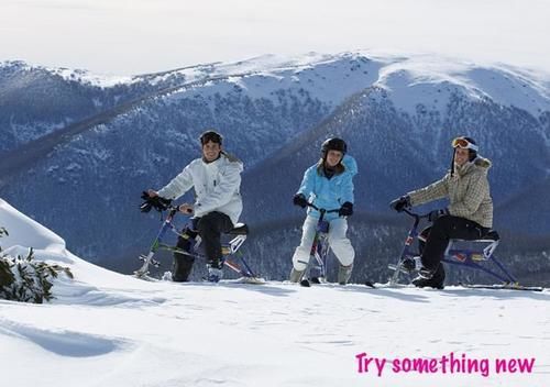 Hotel Halleys Lodge | Falls Creek | Victoria | Australia 9