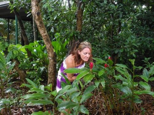 Hotel Litchfield Tourist Park - Campground | Batchelor | Northern Territory | Australia 3