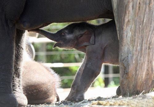 Motel No 95 Accommodation | Dubbo | New South Wales | Australia 10