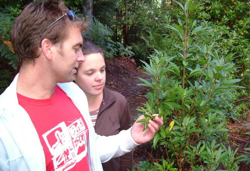 Huon Bush Retreats | Ranelagh | Tasmania | Australia 11