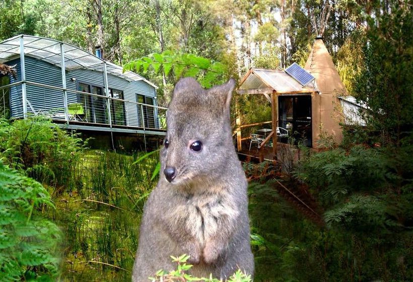 Huon Bush Retreats | Ranelagh | Tasmania | Australia 12