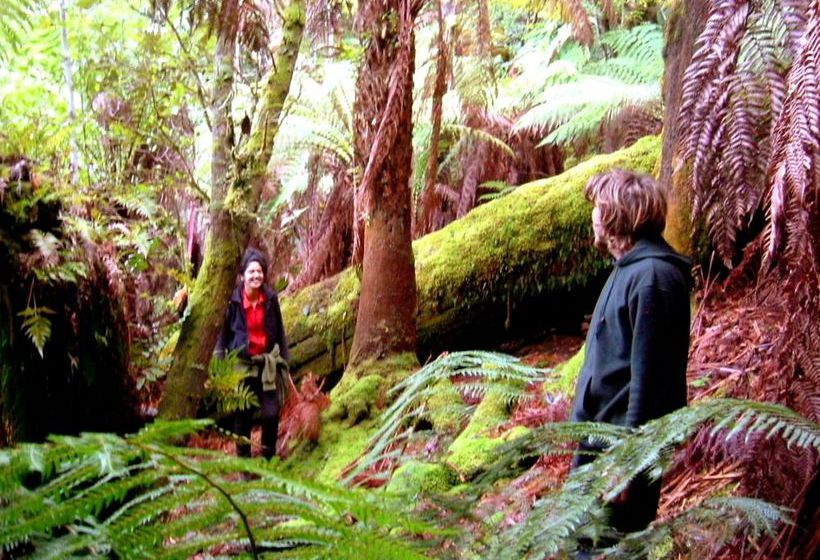 Huon Bush Retreats | Ranelagh | Tasmania | Australia 6