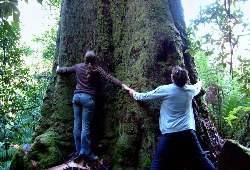Huon Bush Retreats | Ranelagh | Tasmania | Australia 7