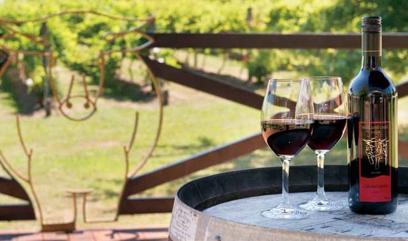 Wild Cattle Creek Estate | Melbourne | Victoria | Australia 10