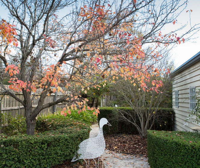 Pension Carrington House | Daylesford | Victoria | Australia 17