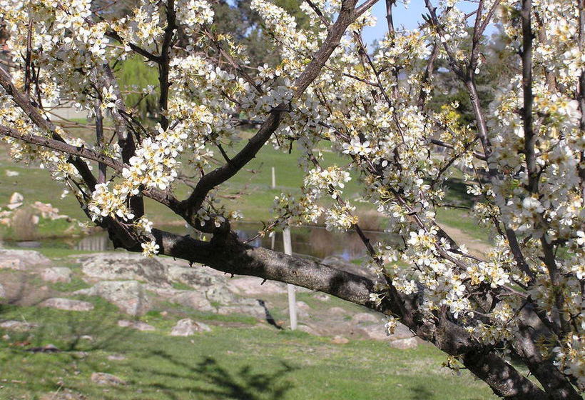 Annies Holiday Units | Beechworth | Victoria | Australia 4