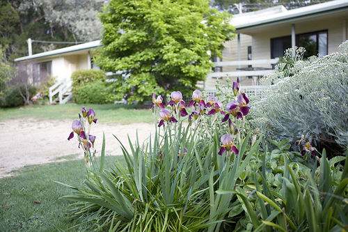 Annies Holiday Units | Beechworth | Victoria | Australia 7