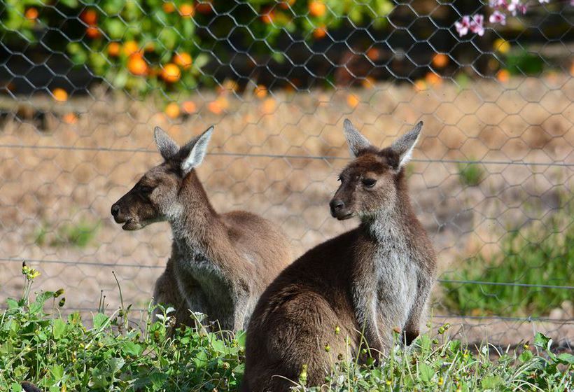 Eight Willows Retreat | Metricup | Western Australia | Australia 20