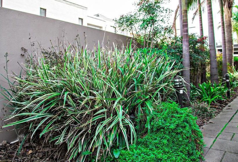 Adelaide Dresscircle Apartments | North Adelaide | South Australia | Australia 16