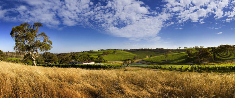 Longview Vineyard | Macclesfield | Austrália do Sul | Austrália 13