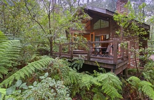 Woodlands Rainforest Retreat | Narbethong | Victoria | Australia 12