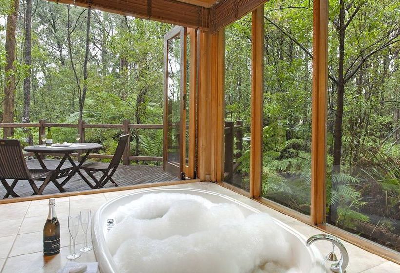Woodlands Rainforest Retreat | Narbethong | Victoria | Australia 5