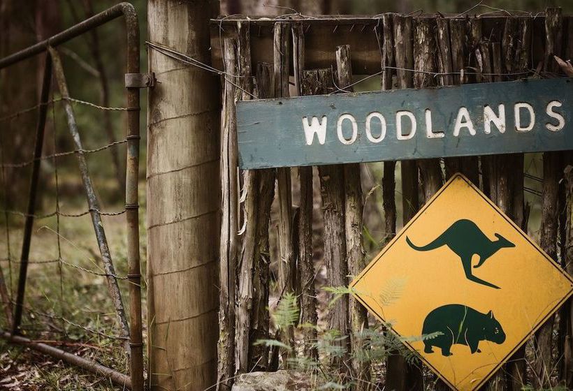 Woodlands Rainforest Retreat | Narbethong | Victoria | Australia 7