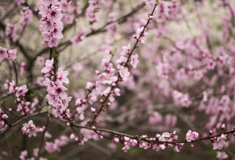 Freshwater Creek Cottages | Freshwater Creek | Victoria | Australia 1