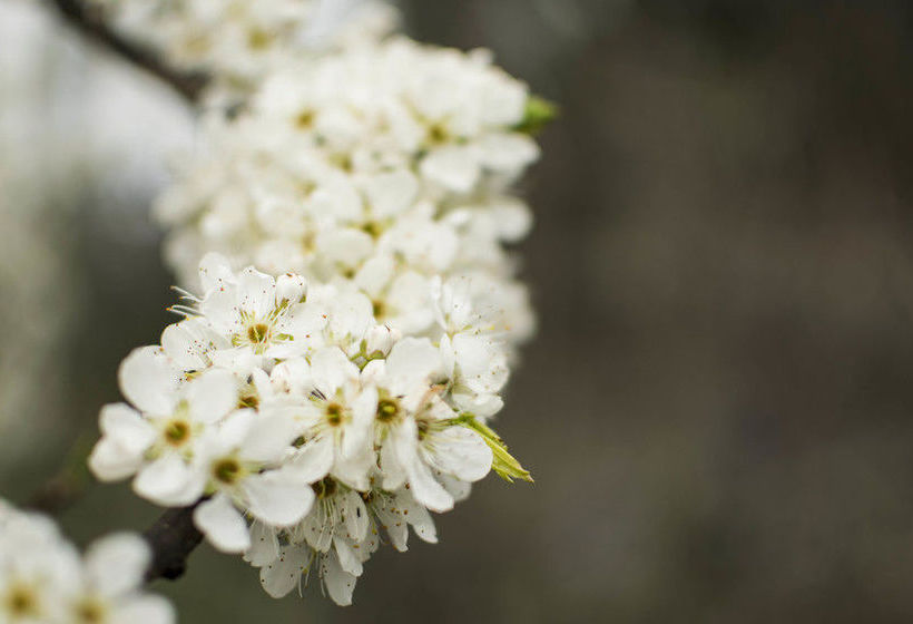 Freshwater Creek Cottages | Freshwater Creek | Victoria | Australia 12