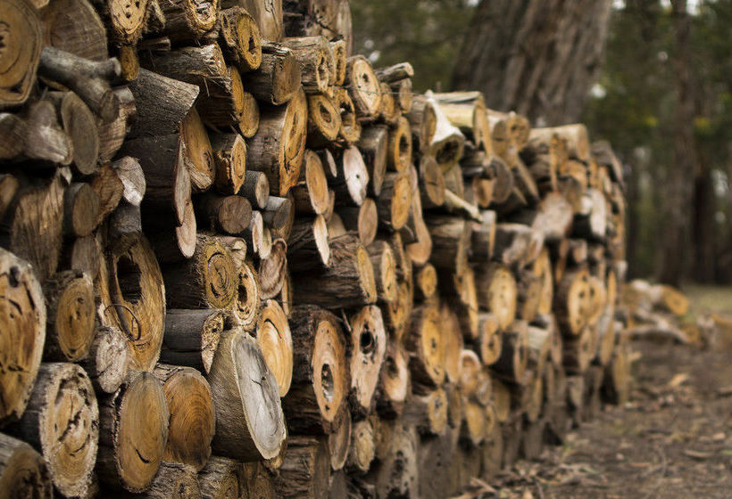 Freshwater Creek Cottages | Freshwater Creek | Victoria | Australia 13