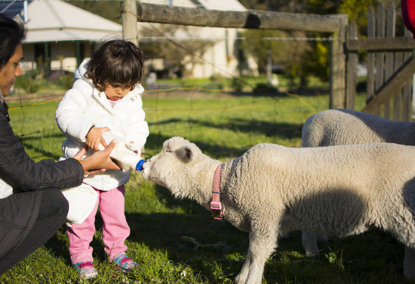 Freshwater Creek Cottages | Freshwater Creek | Victoria | Australia 17