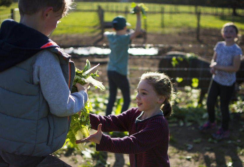 Freshwater Creek Cottages | Freshwater Creek | Victoria | Australia 18