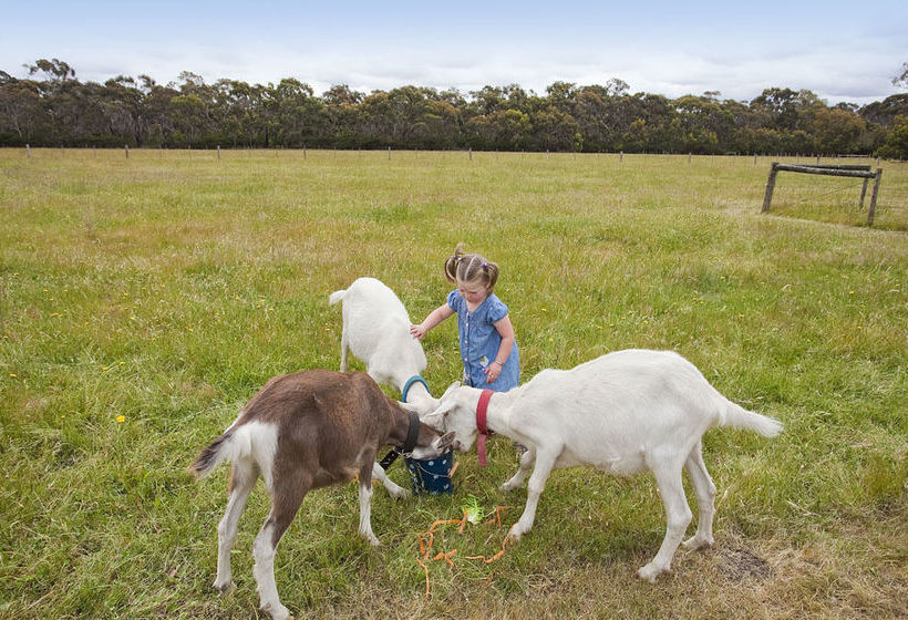 Freshwater Creek Cottages | Freshwater Creek | Victoria | Australia 9