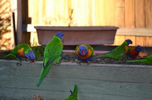 Boonah Motel | Boonah | Queensland | Australia 1