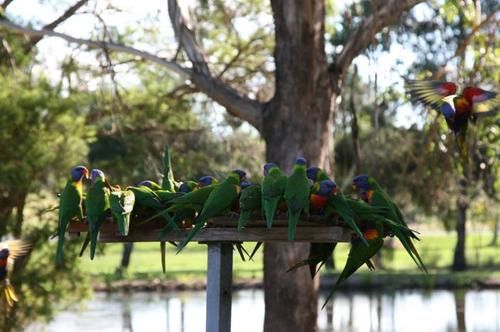 Boonah Motel | Boonah | Queensland | Australia 2