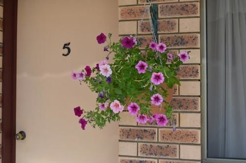 Boonah Motel | Boonah | Queensland | Australia 5