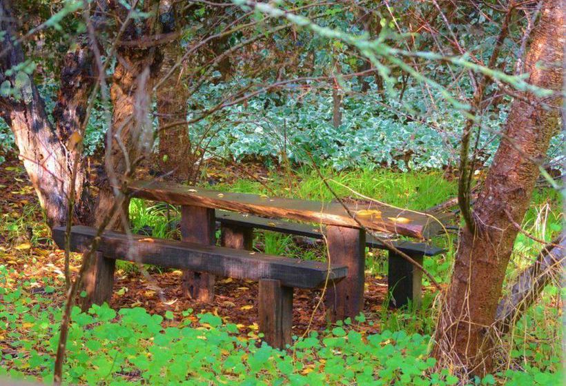 The Black Cockatoo Nannup | Nannup | Western Australia | Australia 13
