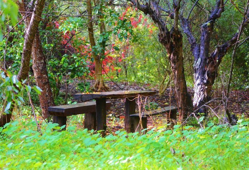 The Black Cockatoo Nannup | Nannup | Western Australia | Australia 14