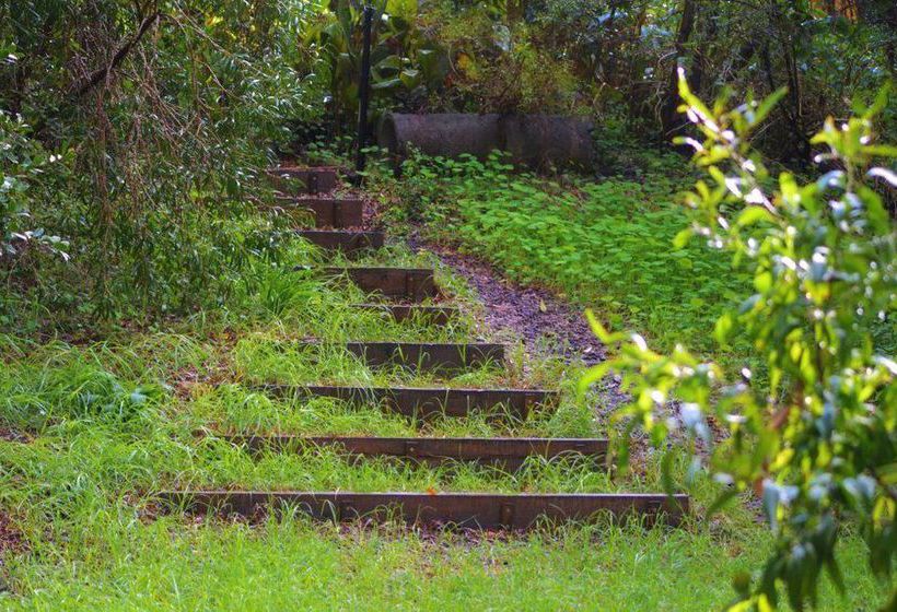 The Black Cockatoo Nannup | Nannup | Western Australia | Australia 15