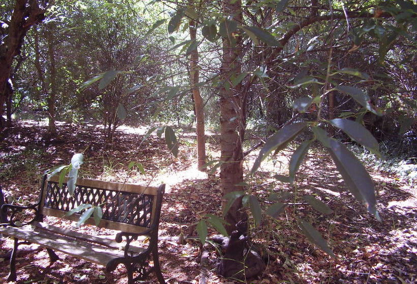 The Black Cockatoo Nannup | Nannup | Western Australia | Australia 18