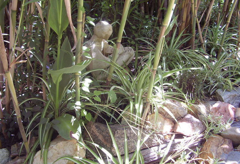 The Black Cockatoo Nannup | Nannup | Western Australia | Australia 20
