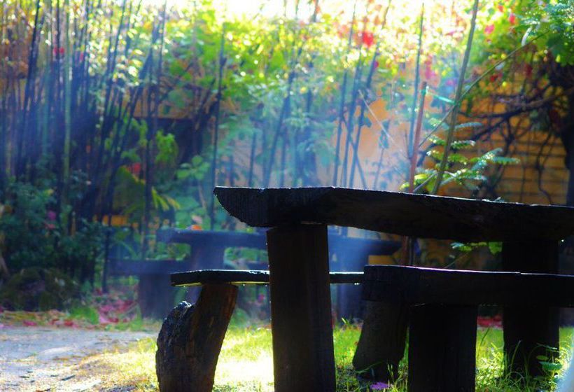 The Black Cockatoo Nannup | Nannup | Western Australia | Australia 7