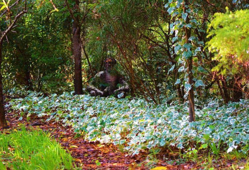 The Black Cockatoo Nannup | Nannup | Western Australia | Australia 8