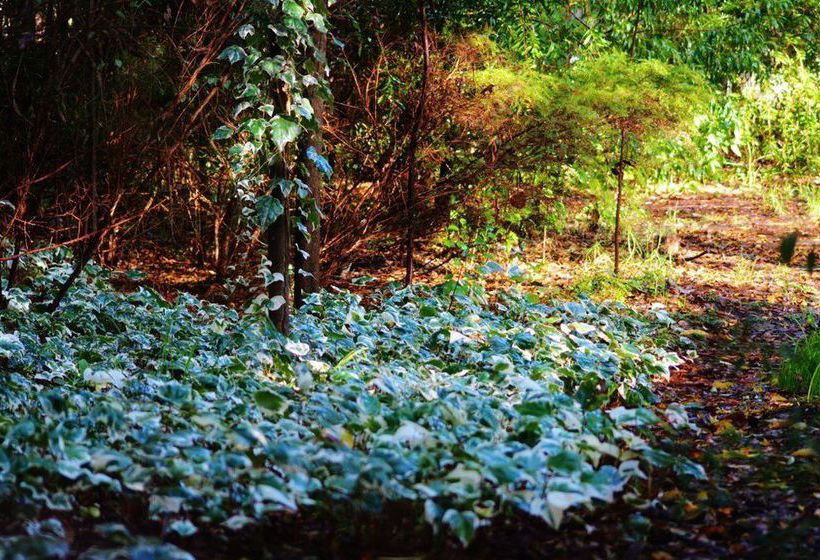 The Black Cockatoo Nannup | Nannup | Western Australia | Australia 9