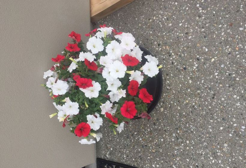 Hopkins River Holiday Park | Allansford | Victoria | Australia 10