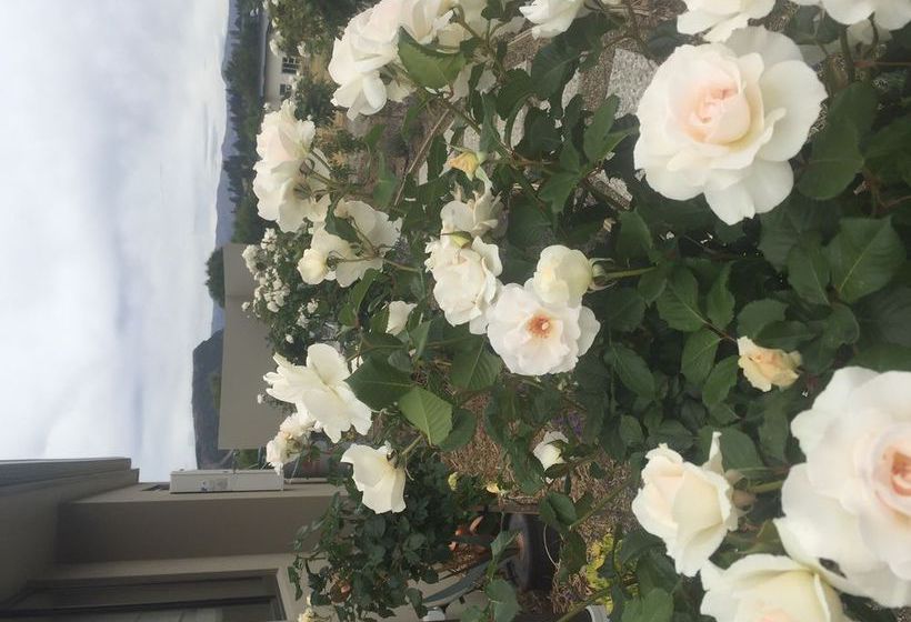 Hopkins River Holiday Park | Allansford | Victoria | Australia 11