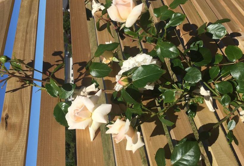 Hopkins River Holiday Park | Allansford | Victoria | Australia 12