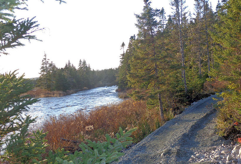 Resort The Wilds At Salmonier River | Holyrood | Newfoundland and Labrador | Canada 17