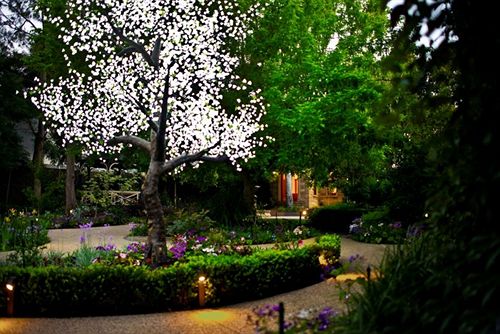 Hotel Elizabethan Lodge | Melbourne | Victoria | Australia 7