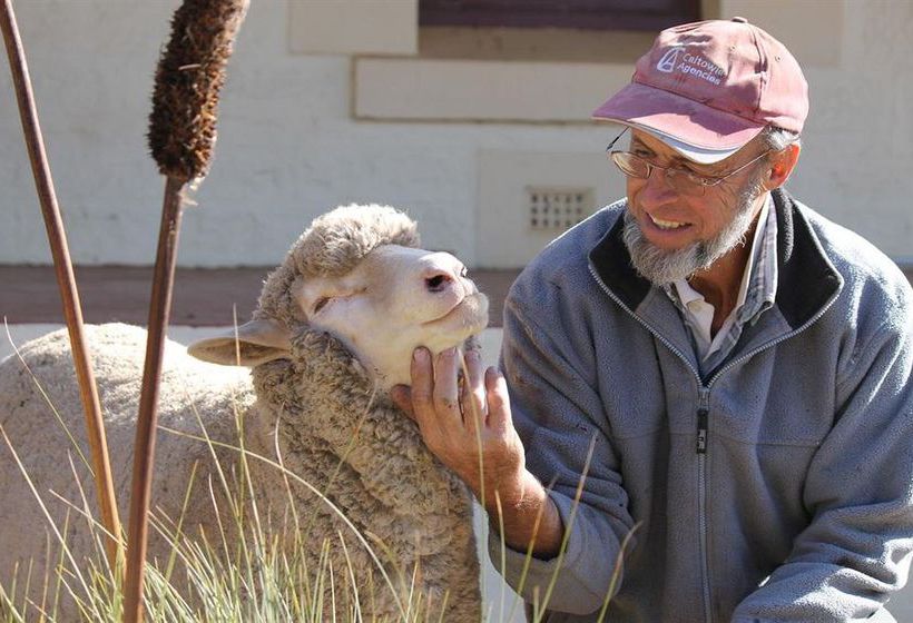 Booleroo View Bed & Breakfast Booleroo Centre Australia Meridional