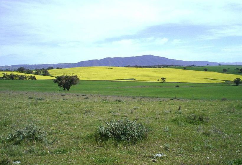 Booleroo View Bed & Breakfast | Booleroo Centre | South Australia | Australia 10