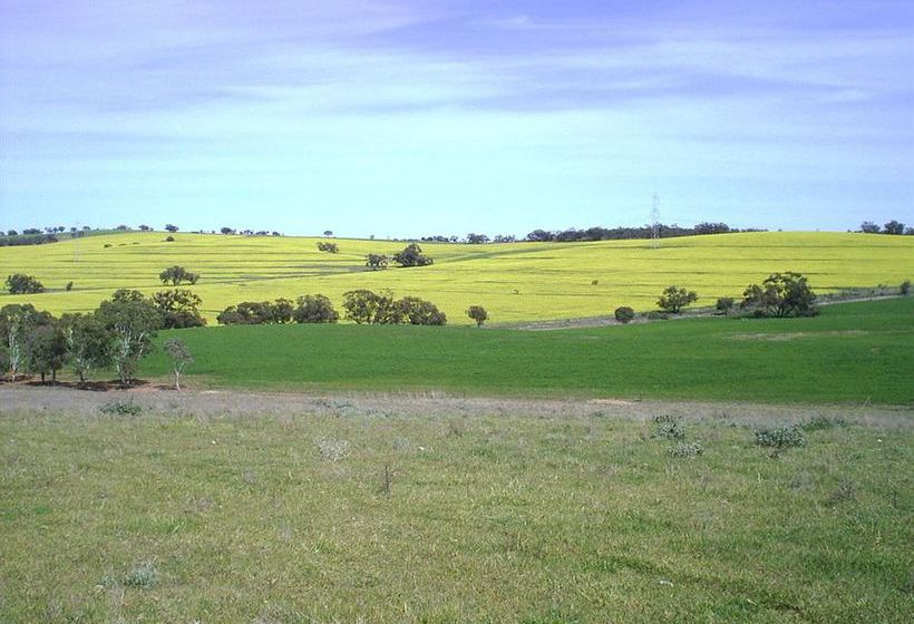 Booleroo View Bed & Breakfast | Booleroo Centre | South Australia | Australia 13