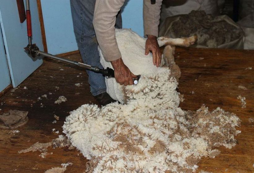 Booleroo View Bed & Breakfast | Booleroo Centre | South Australia | Australia 16