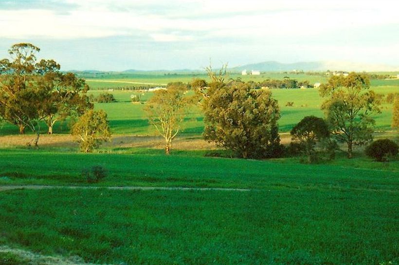 Booleroo View Bed & Breakfast | Booleroo Centre | South Australia | Australia 17