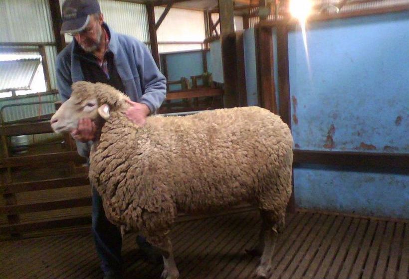 Booleroo View Bed & Breakfast | Booleroo Centre | South Australia | Australia 6