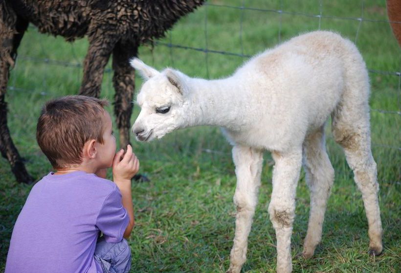 Jacaranda Creek Farmstay & Bed And Breakfast | Eumundi | Queensland | Australia 16